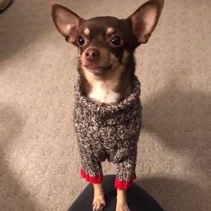 Meet your Posher, Ruth